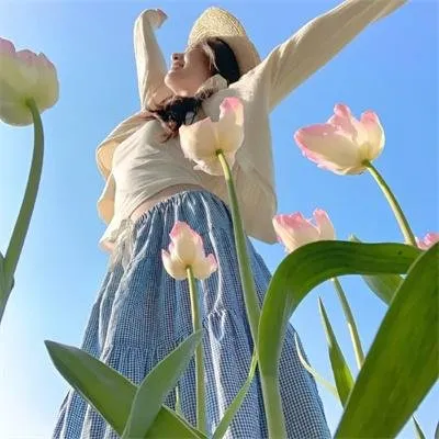 【经典纯爱】《交响情人梦》上野树里玉木宏：变态天才指挥家与邋遢钢琴少女的爆笑同居神剧